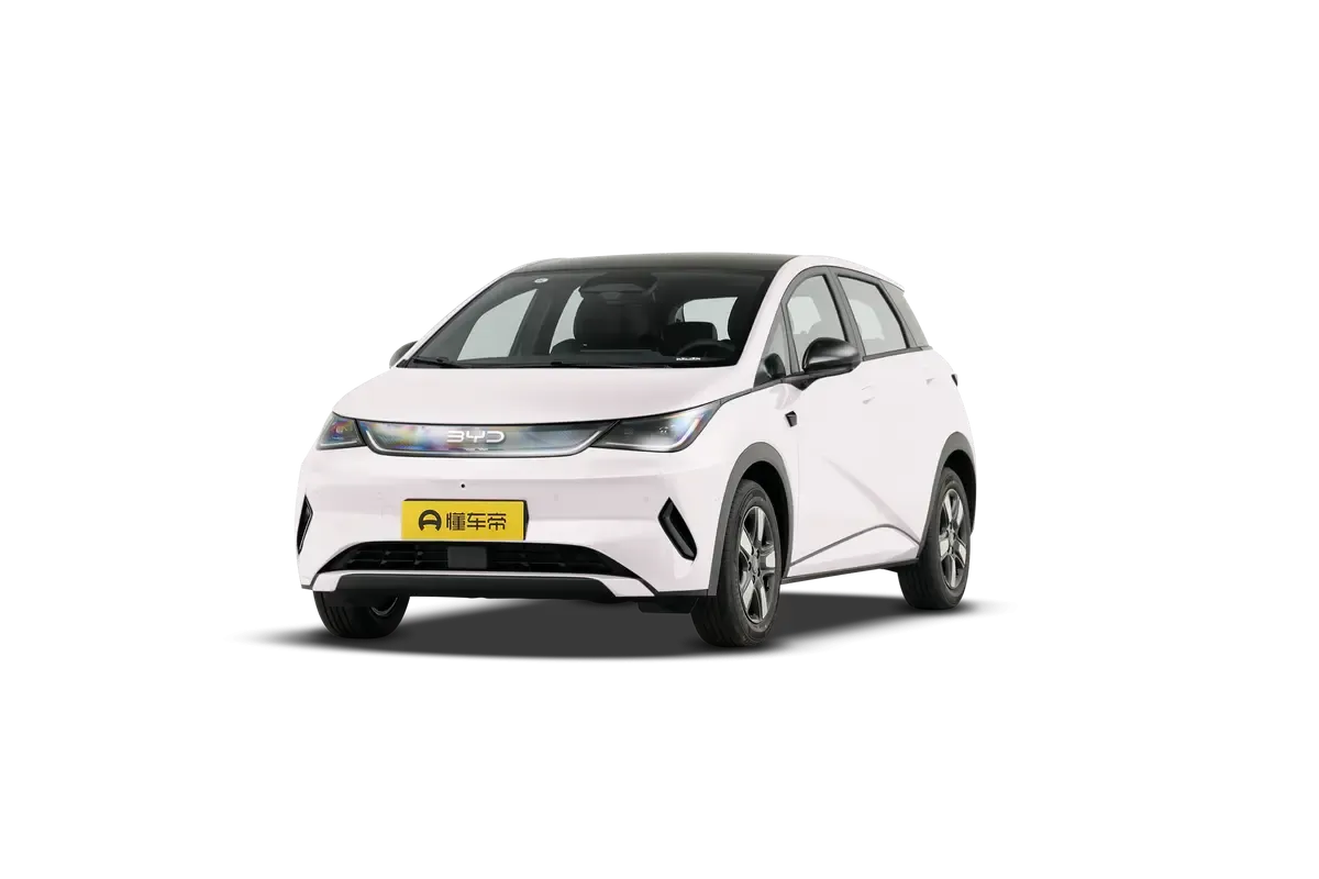 Электромобиль BYD Dolphin 2025 Smart Driving Edition 420KM Freedom Edition (белый)_360