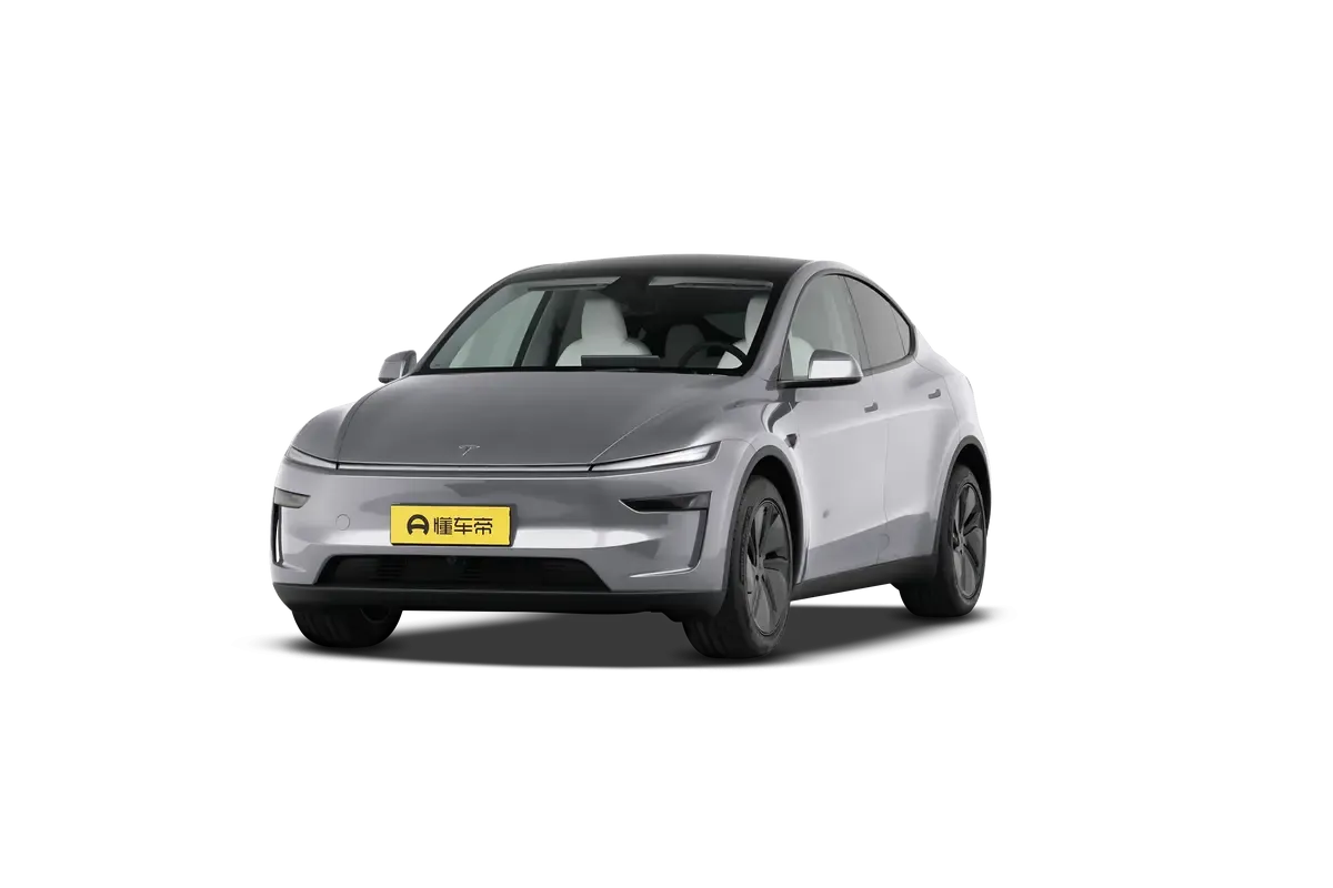 TESLA MODEL Y 2025 4WD Long Range (серебристый)_360