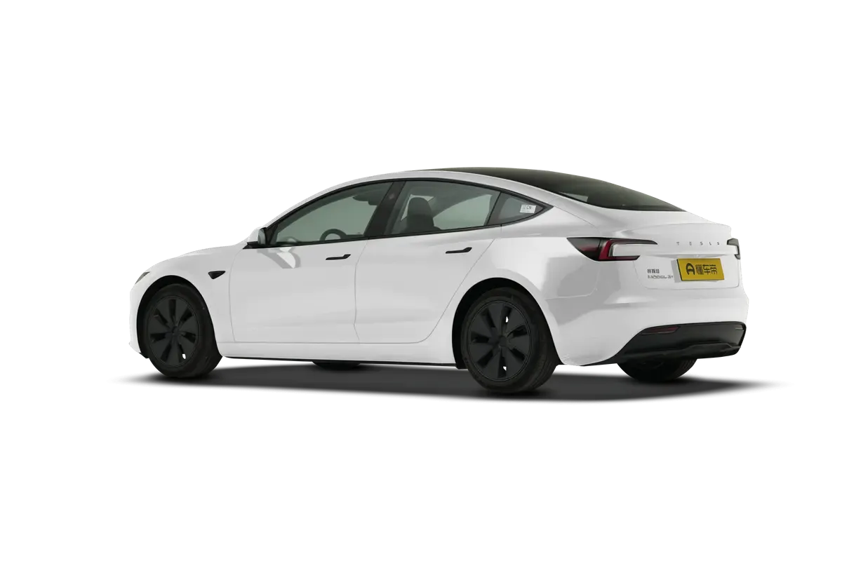 TESLA MODEL 3 4WD Long Range (белый)_360