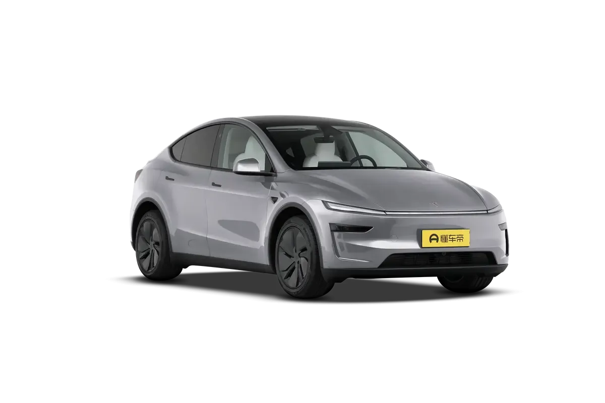 TESLA MODEL Y 2025 4WD Long Range (серебристый)_360