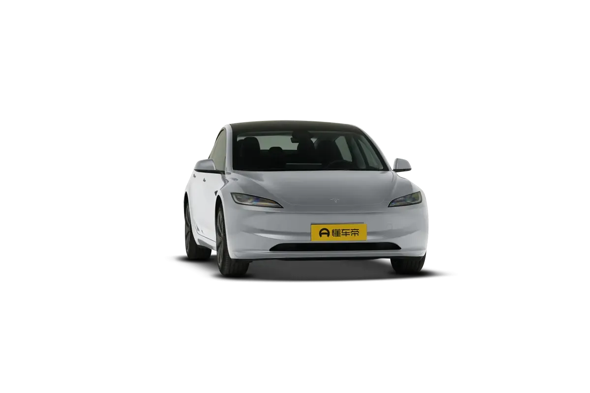 TESLA MODEL 3 4WD Performance (серебристый)_360
