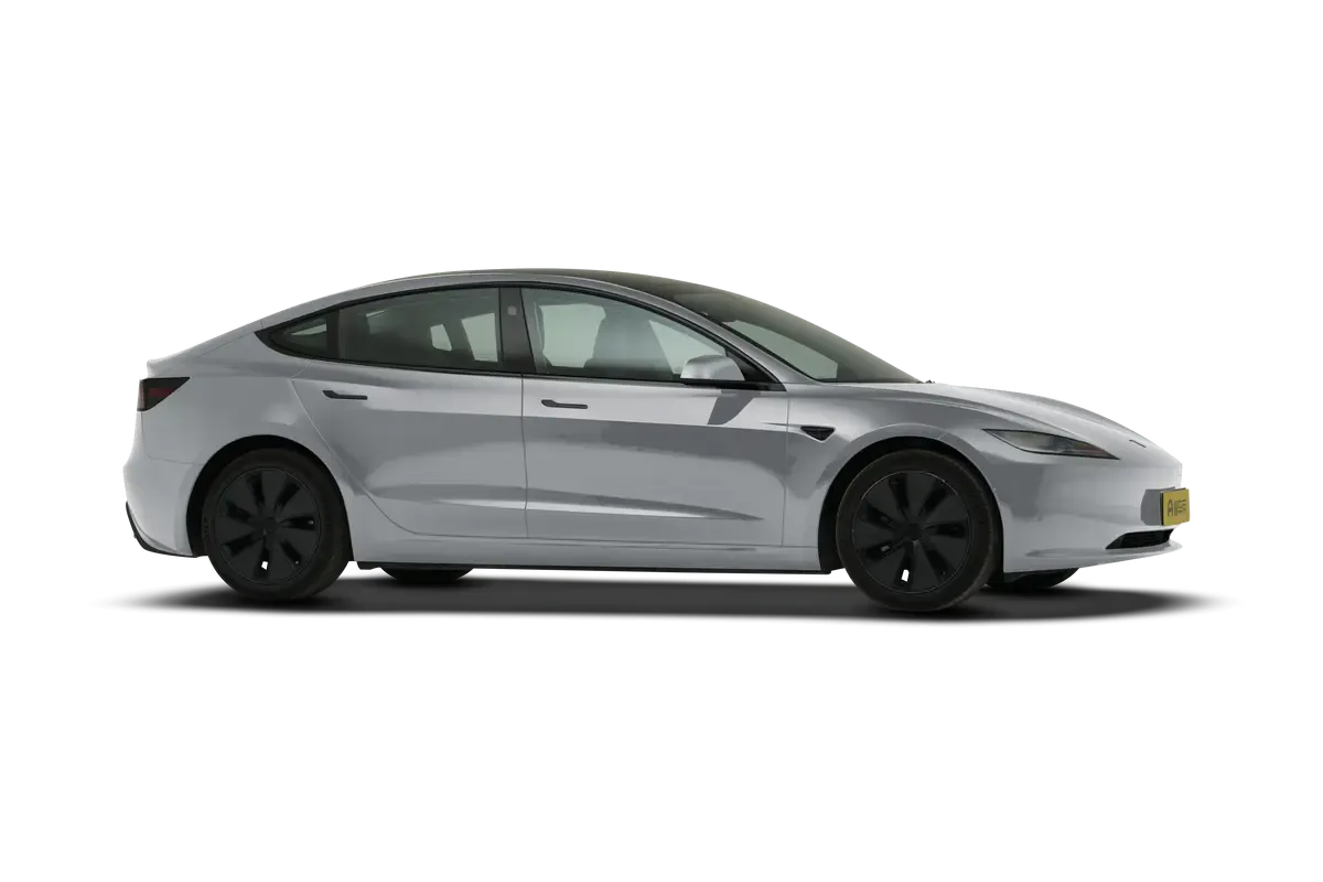 TESLA MODEL 3 4WD Performance (серебристый)_360