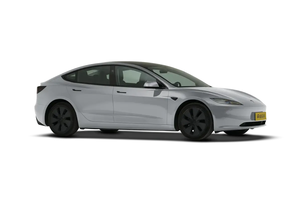 TESLA MODEL 3 4WD Performance (серебристый)_360