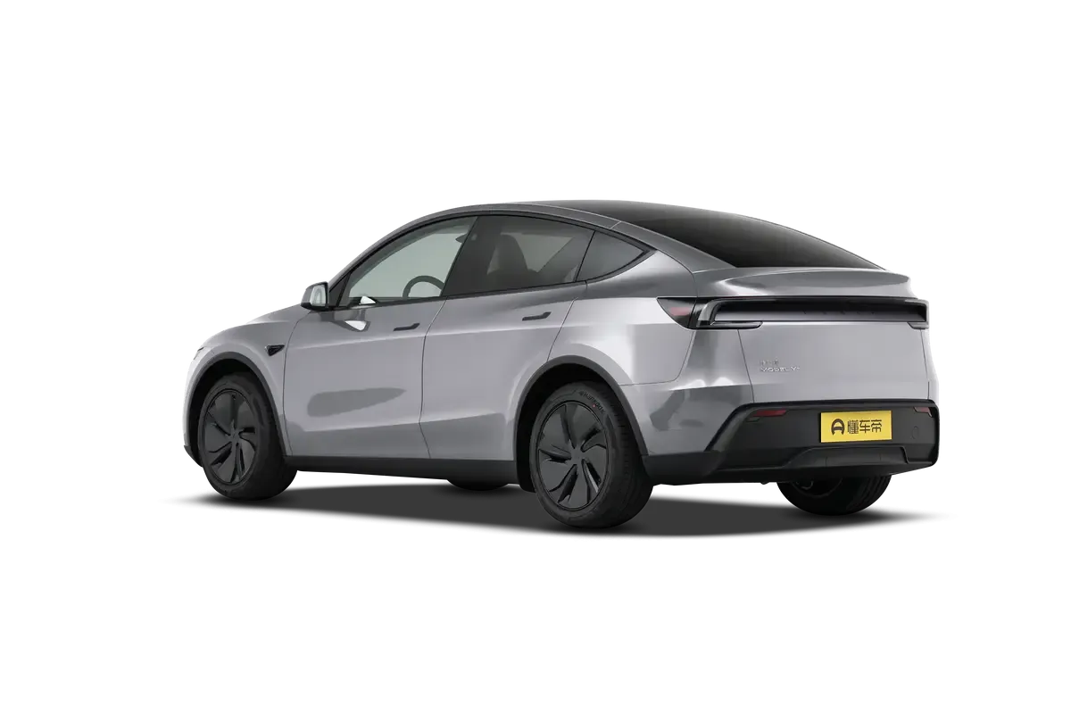 TESLA MODEL Y 2025 4WD Long Range (серебристый)_360