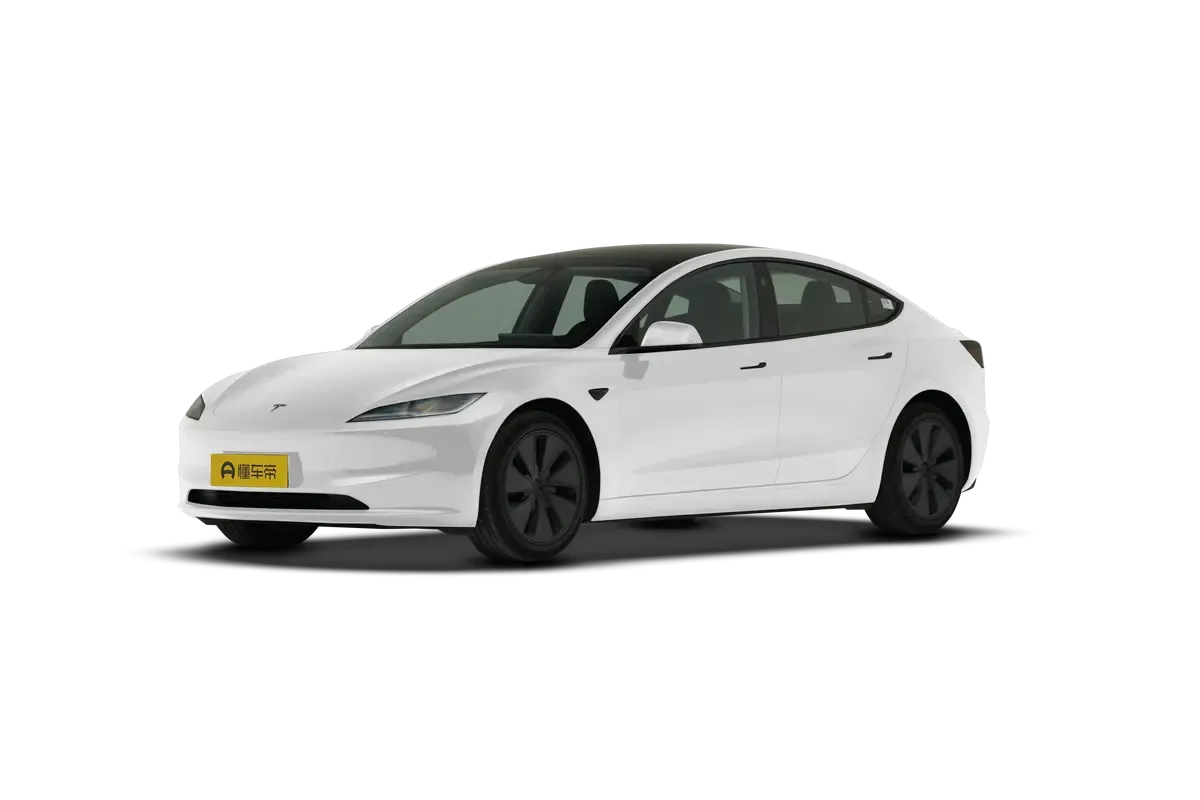 TESLA MODEL 3 4WD Long Range (белый)_360