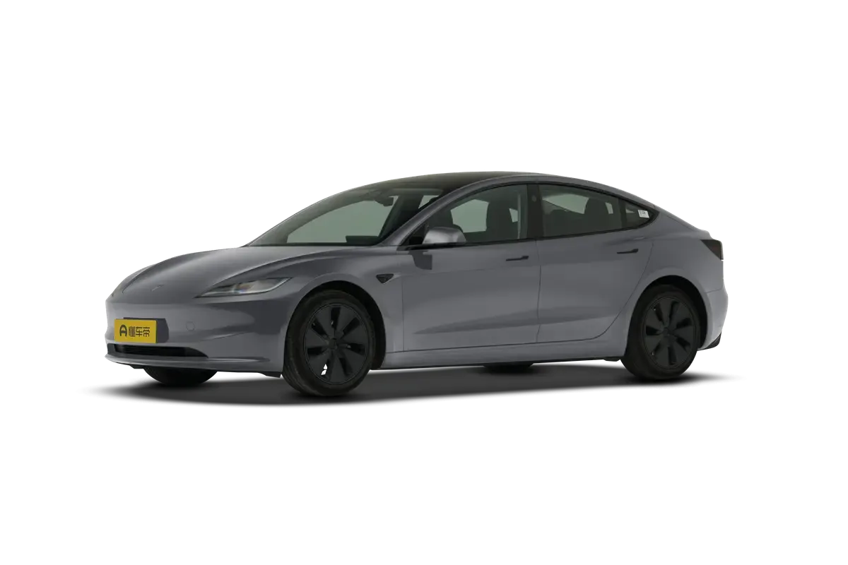 TESLA MODEL 3 4WD Performance (серый)_360