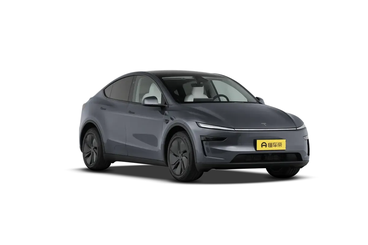 TESLA MODEL Y 2025 2WD (серый)_360