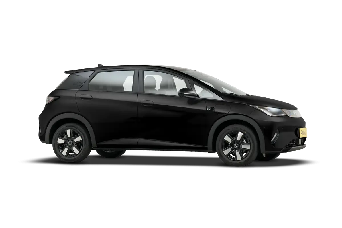 Электромобиль BYD Dolphin 2025 Smart Driving Edition 520KM Knight Edition (черный)_360
