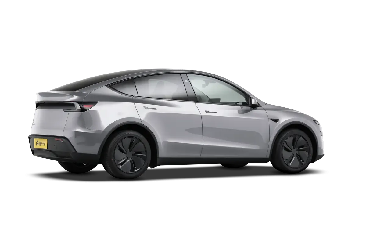 TESLA MODEL Y 2025 4WD Long Range (серебристый)_360