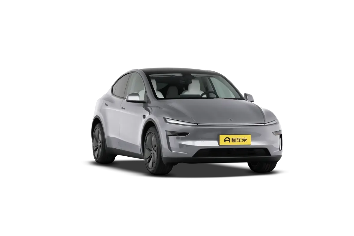 TESLA MODEL Y 2025 4WD Long Range (серебристый)_360