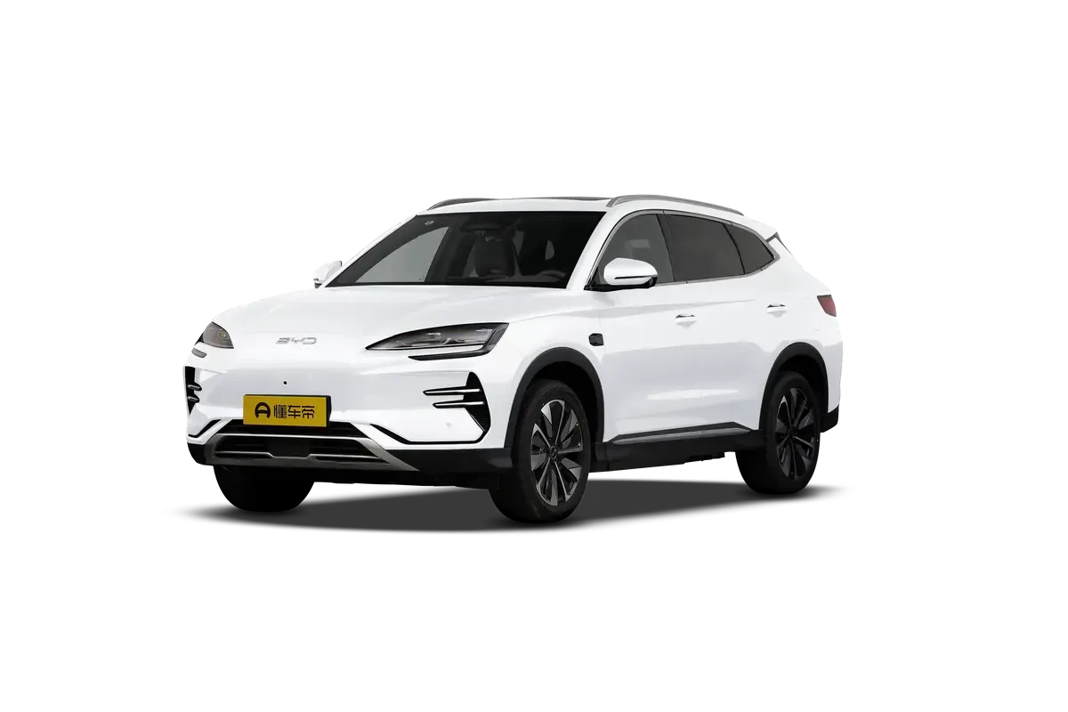 BYD SONG PLUS EV 2025 Intelligent Driving Edition 605KM Flagship Model (белый)_360