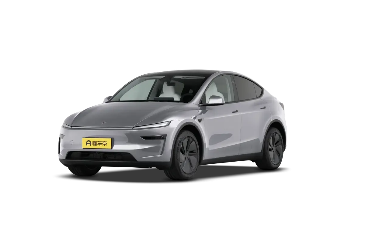 TESLA MODEL Y 2025 4WD Long Range (серебристый)_360