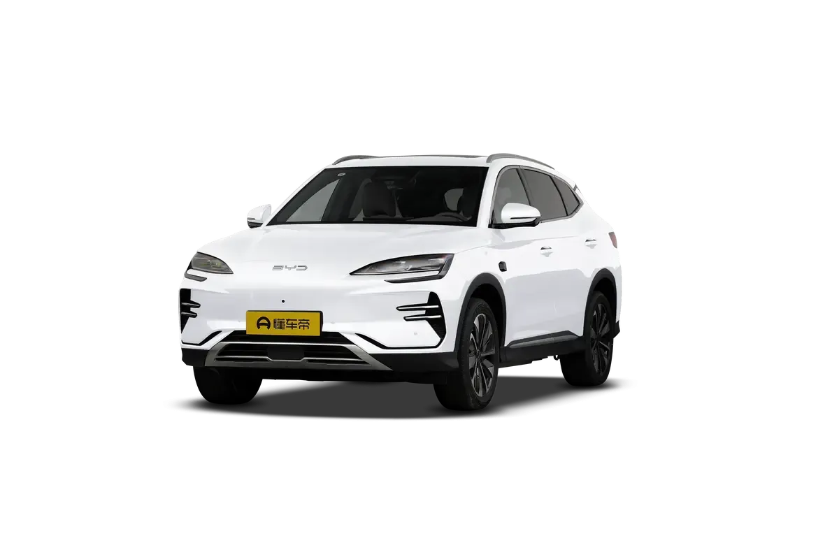 BYD SONG PLUS EV 2025 Intelligent Driving Edition 605KM Flagship Model (белый)_360