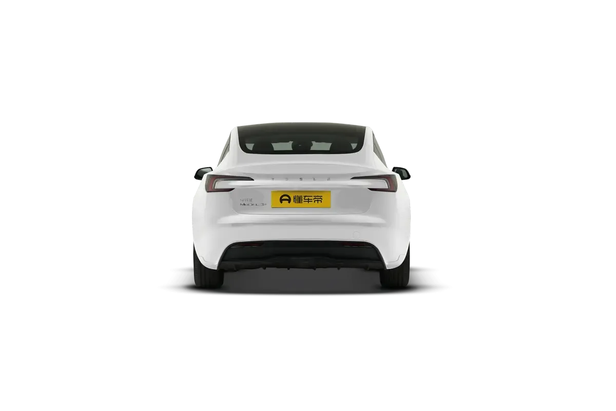 TESLA MODEL 3 4WD Long Range (белый)_360
