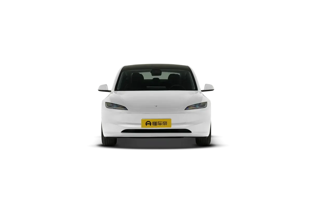 TESLA MODEL 3 4WD Long Range (белый)_360