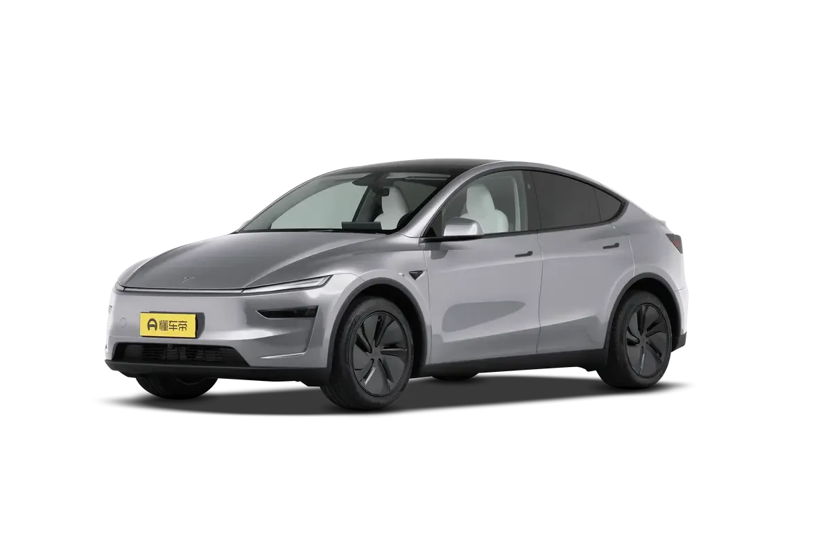 TESLA MODEL Y 2025 4WD Long Range (серебристый)_360